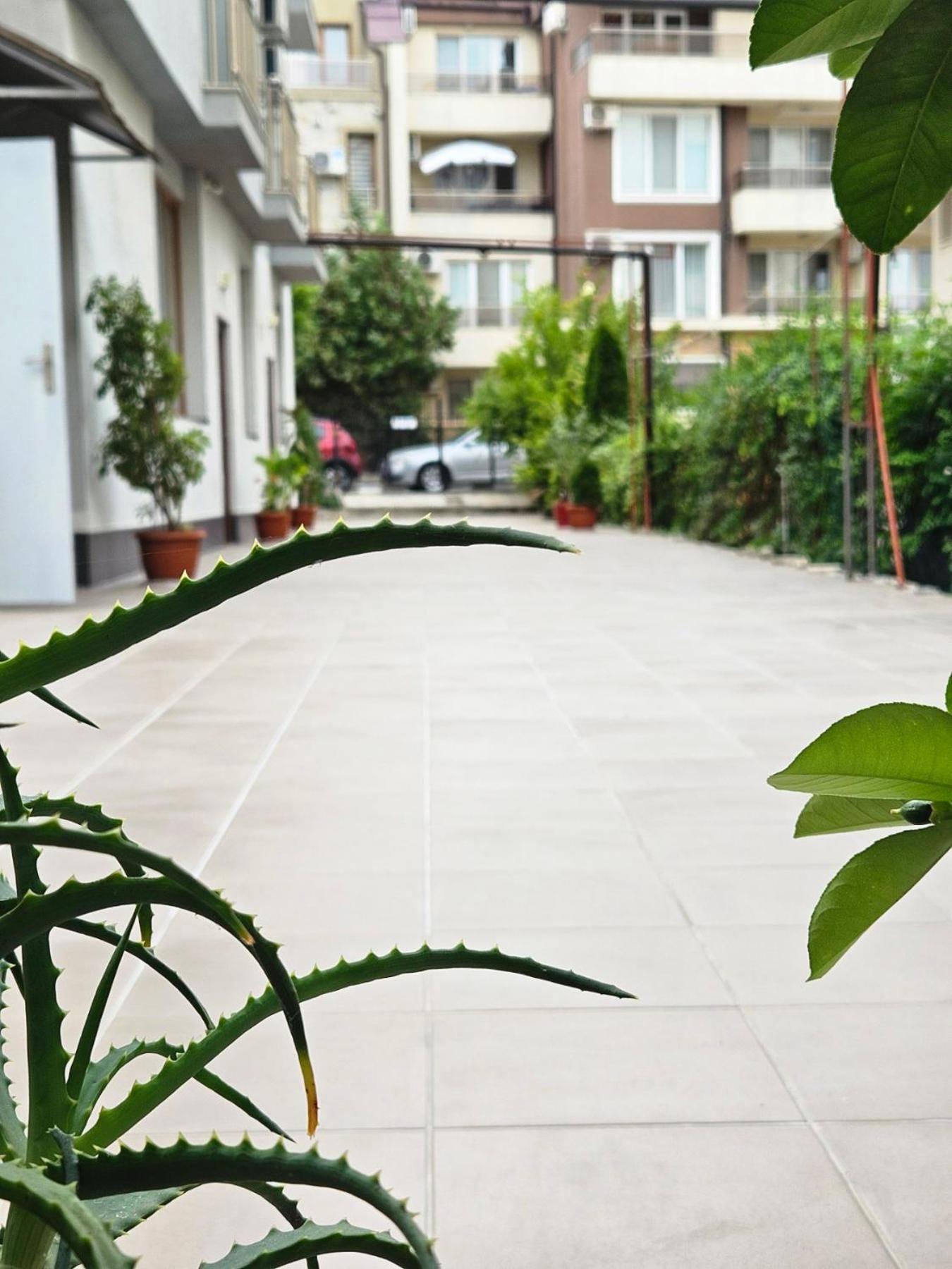 רבדה Guest House Petrovi מראה חיצוני תמונה